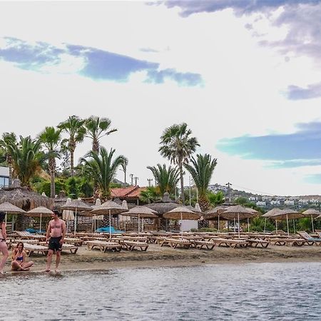Amilla Beach Resort 博德鲁姆 外观 照片